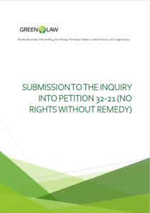 No Rights Without Remedy